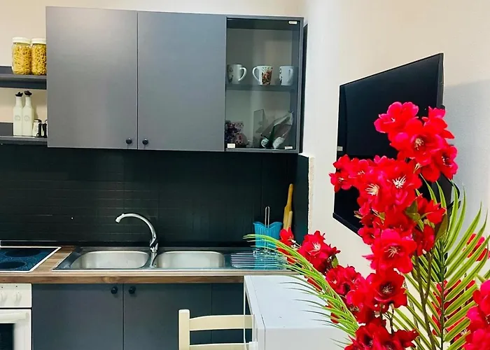 Appartement Blloku Center *